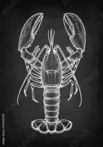 Chalk sketch of lobster