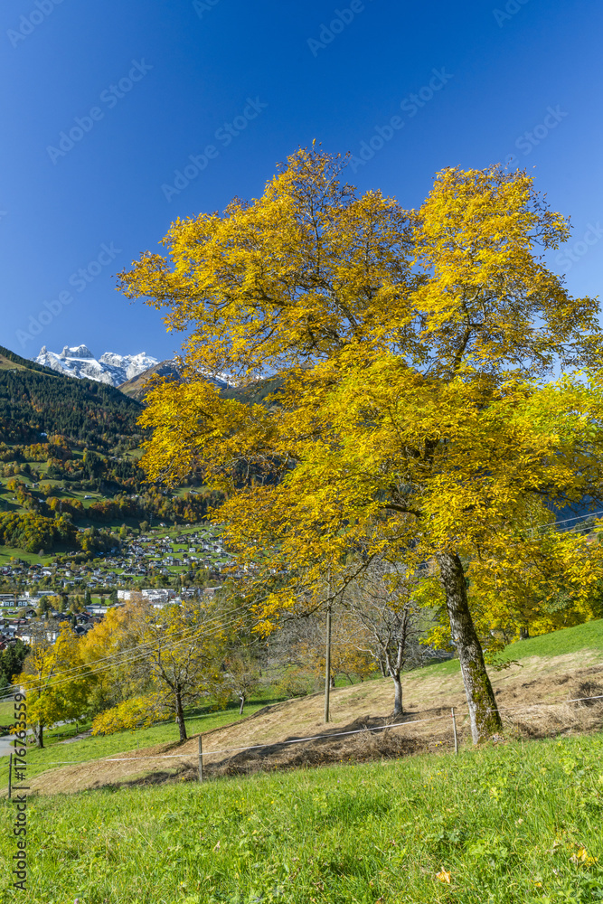 Herbst in den Bergen 