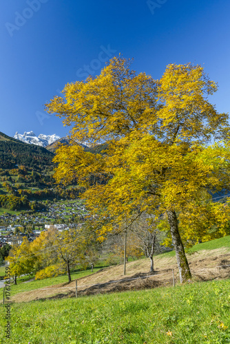 Fototapeta Naklejka Na Ścianę i Meble -  Herbst in den Bergen 