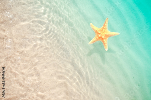 starfish on the summer beach with sand