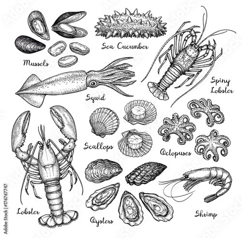 Seafood big set.