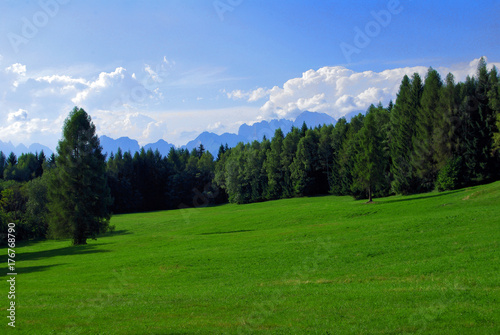 Alpine meadow in the Dolomites, Italian Alps