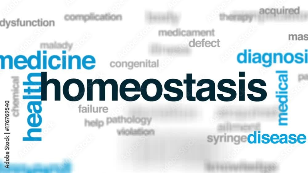 Homeostasis animated word cloud, text design animation. Homeostasis animated word cloud, text design animation.