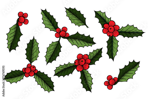 Set of Christmas mistletoe