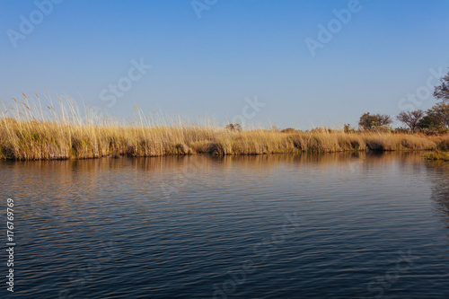 Okavango river  Okanvango delta   Botswana