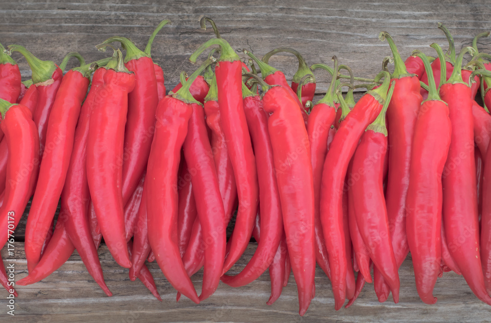 Red Hot Chili Peppers Pile Freshly Picked Organic Harvest Wooden Background. Mexican Food Concept Copy Space Red Hot Chili Peppers Pile Freshly Picked Organic Harvest Wooden Background. Mexican Food Concept Copy Space