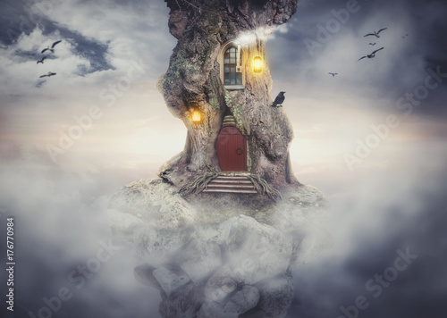 Fairy tree house on rock fl...