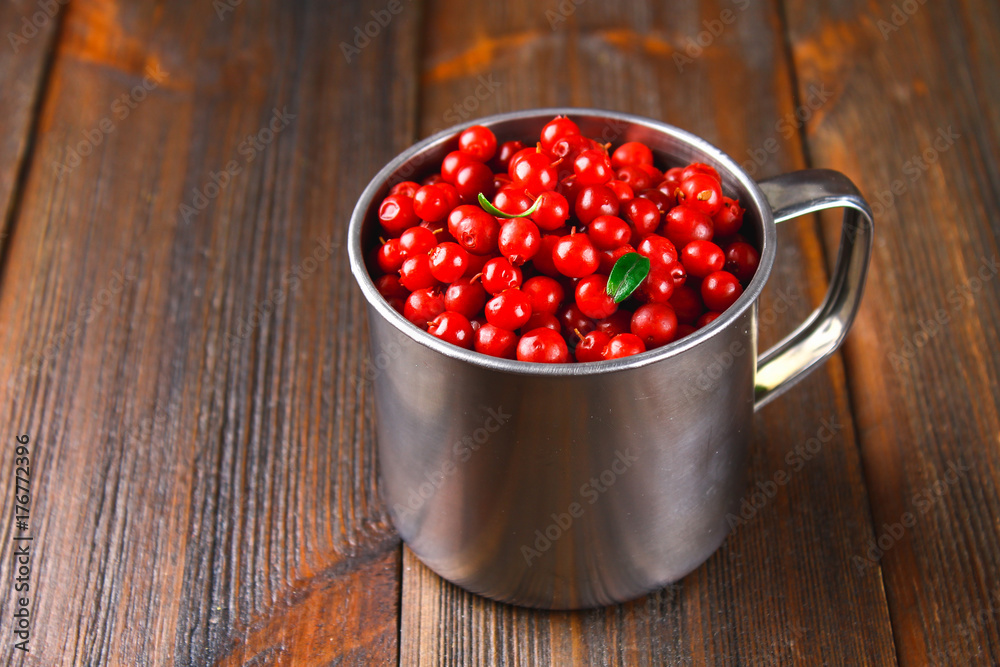 Cowberry, foxberry, cranberry, lingonberry in an aluminum mug on a brown wooden table. Cowberry, foxberry, cranberry, lingonberry in an aluminum mug on a brown wooden table.