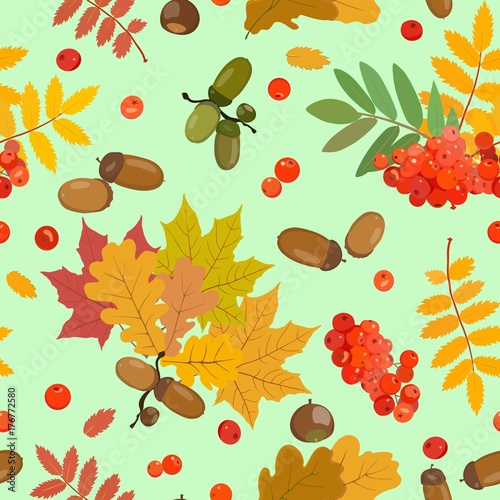 Autumn pattern with acorns, rowan, multicolored leaves.Vector illustration