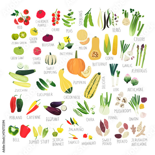 Clipart collection of tomatoes, peppers, squashes and other vegetables