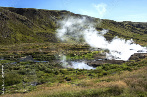 Hot spring area  Iceland  Hveragerdi