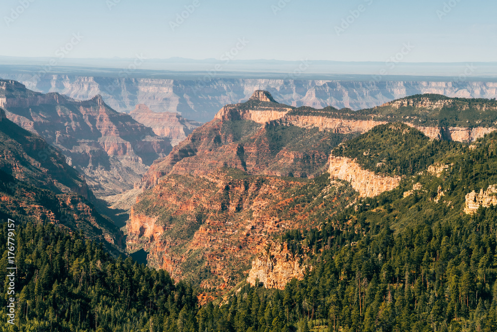 amazing views of grand canyon national park