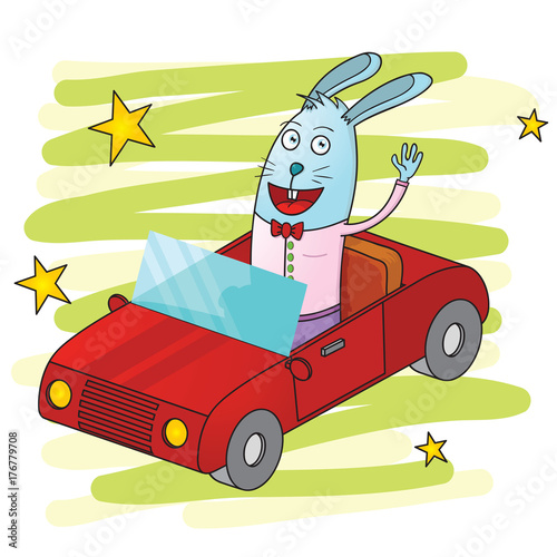 rabbit driving a car