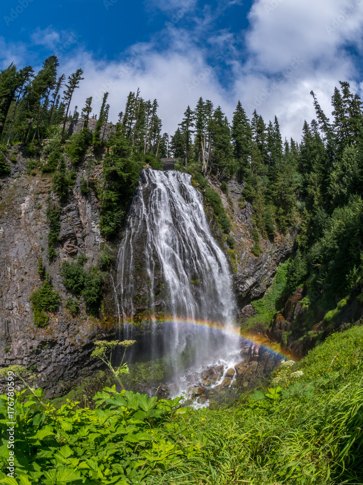 Mt. Rainier National Park