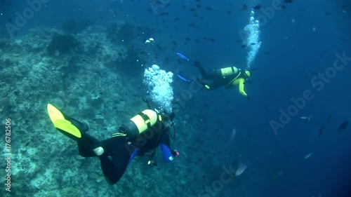 Wallpaper Mural Divers on background of school of fish underwater on seabed in Maldives. Unique amazing video footage. Abyssal relax diving. Natural aquarium of sea and ocean. Beautiful animals. Torontodigital.ca