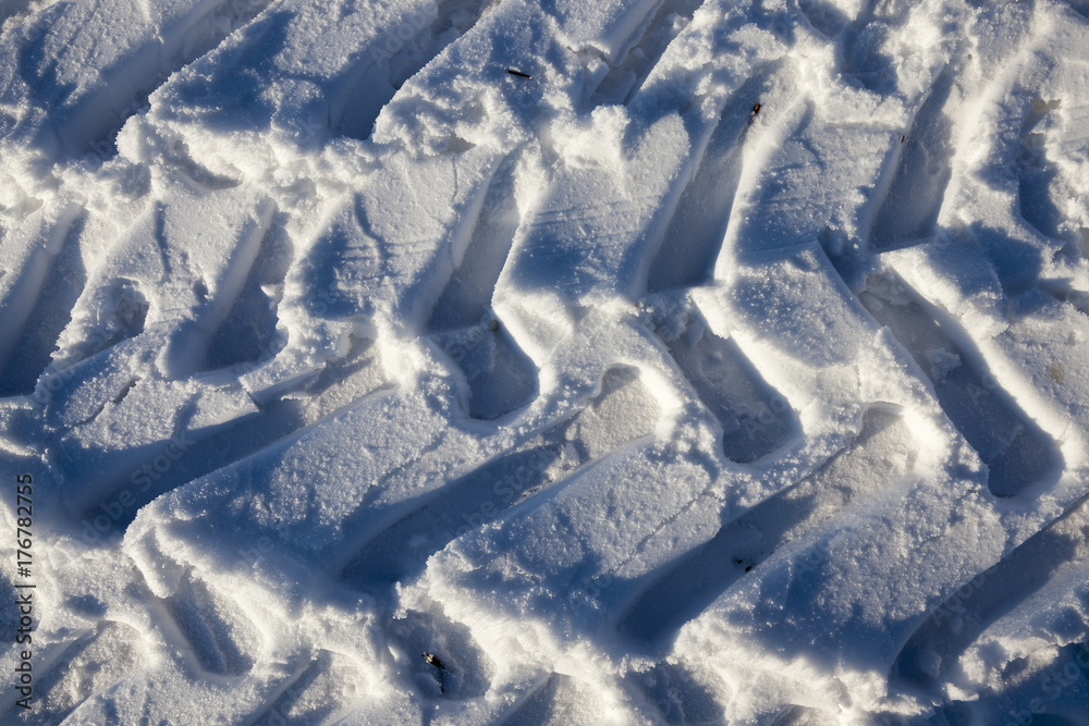 Obraz premium Winter season