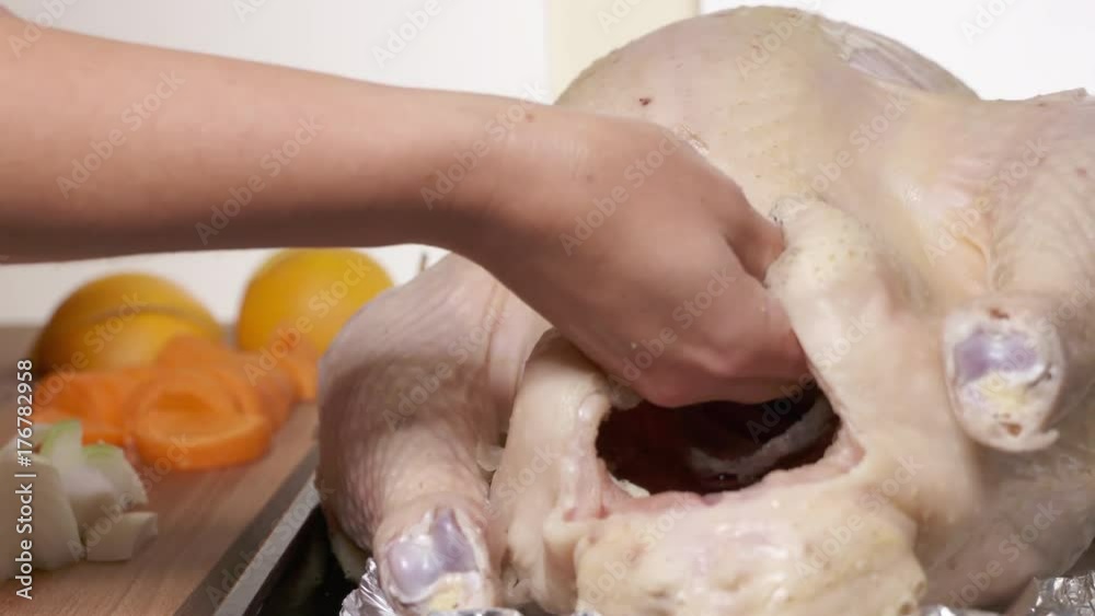 Preparing the Thanksgiving turkey closeup. Female hand rubs the turkey cavity with salt and pepper. Thanksgiving or Christmas roast stuffed turkey recipe. Preparing the Thanksgiving turkey closeup. Female hand rubs the turkey cavity with salt and pepper. Thanksgiving or Christmas roast stuffed turkey recipe.
