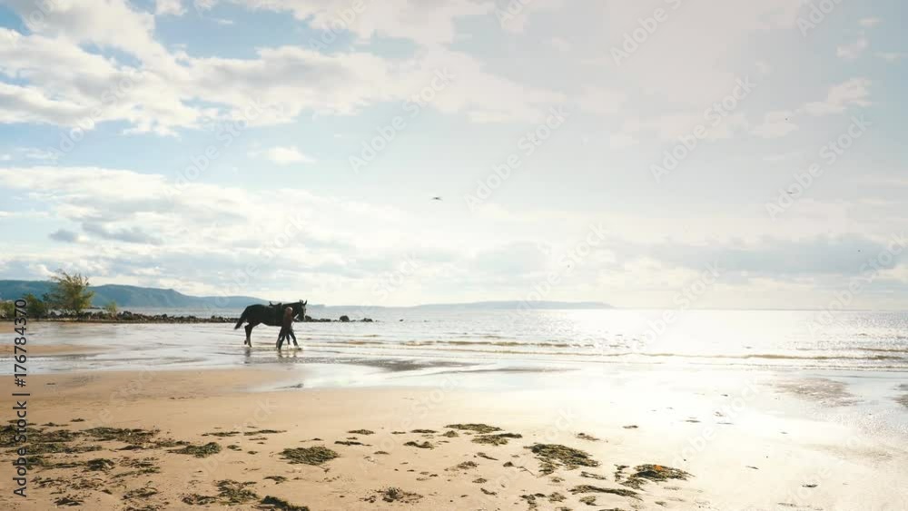 a young girl walks on the beach with a horse a young girl walks on the beach with a horse