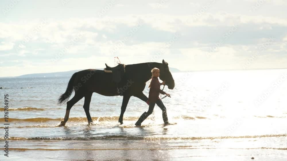 a young girl walks on the beach with a horse a young girl walks on the beach with a horse