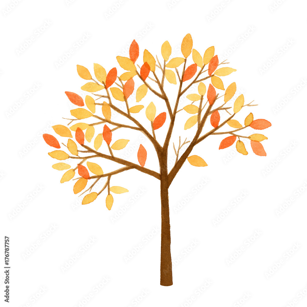 Obraz premium Autumn tree