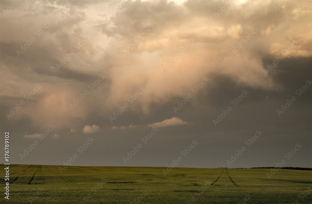 Fototapeta premium Storm Clouds Canada