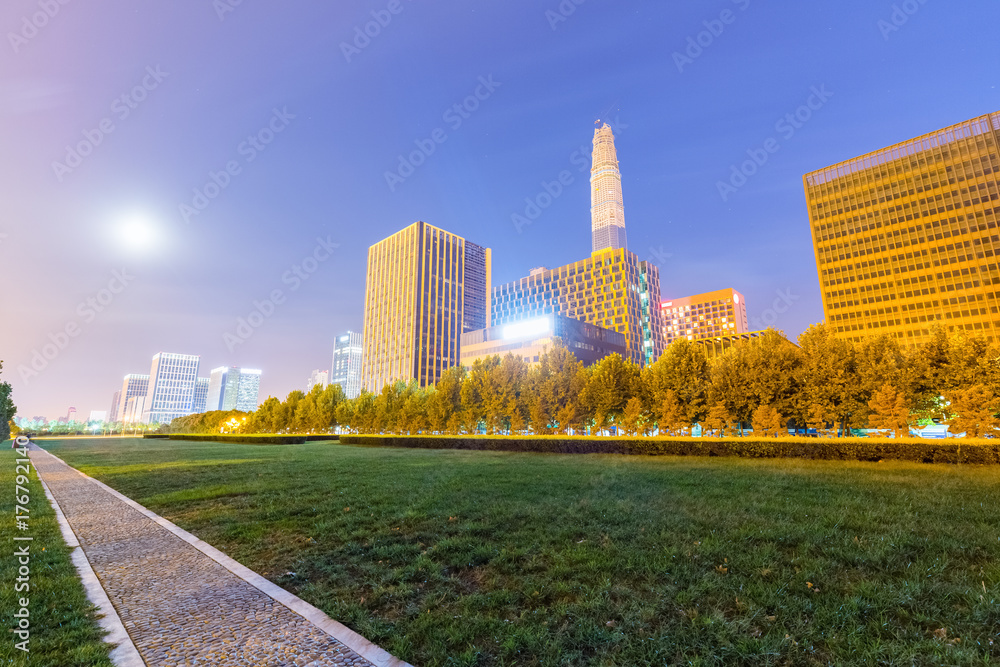 Obraz premium green park with city at night