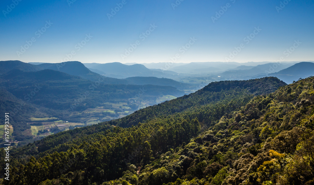 Fototapeta premium Brazilian nature