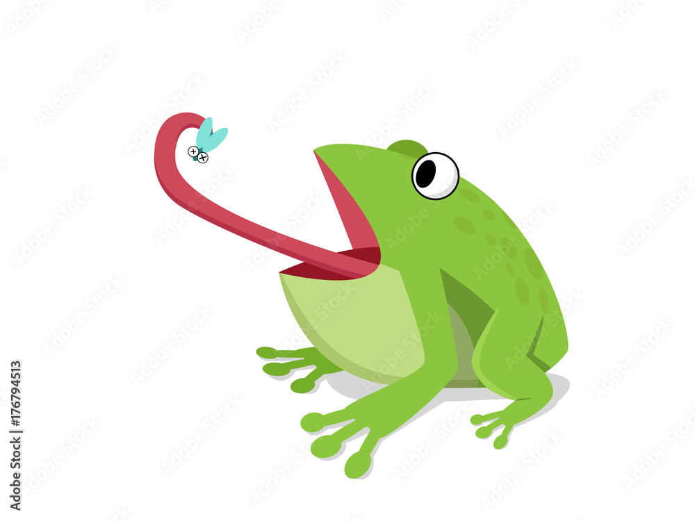 Fototapeta premium Zielona żaba jedzą owady na białym, kreskówka wektor