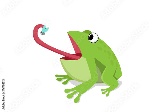 Green frog eat insect on white, cartoon vector