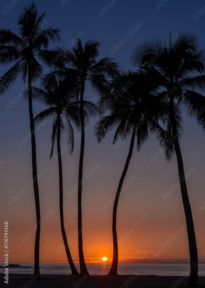 Sunset at Waimea Bay Beach Park, Oahu, Hawaii