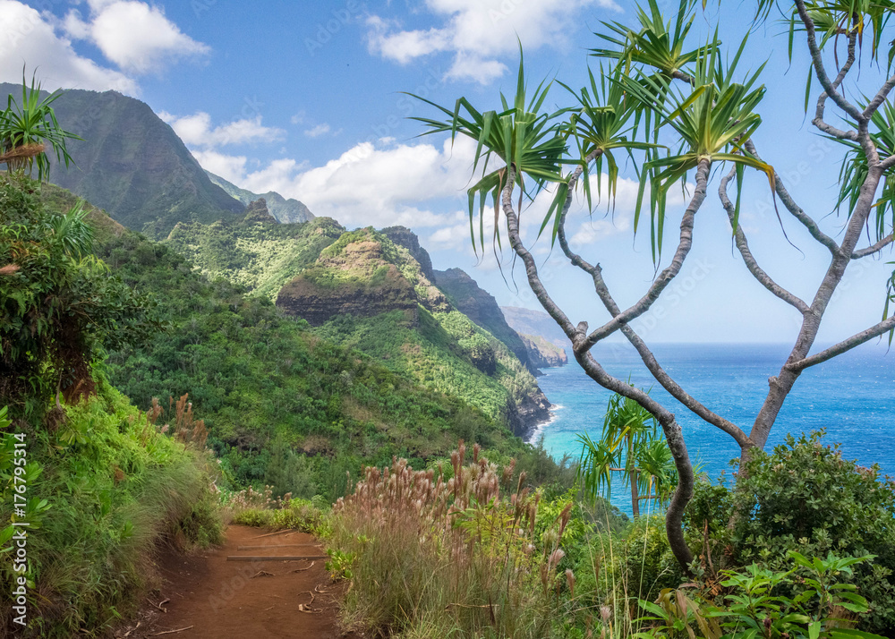 Kalalau Trail in Nāpali Coast State Wilderness, Kauai, Hawaii