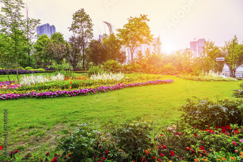 Urban greening flower beds landscape