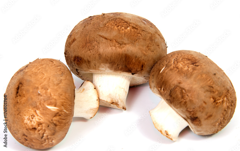 Set Champignon mushroom isolated on white background. Set Champignon mushroom isolated on white background.