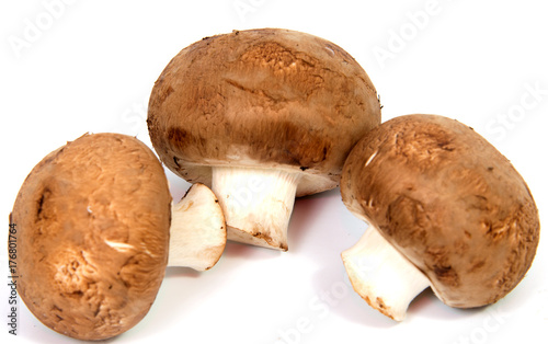 Set Champignon mushroom isolated on white background.