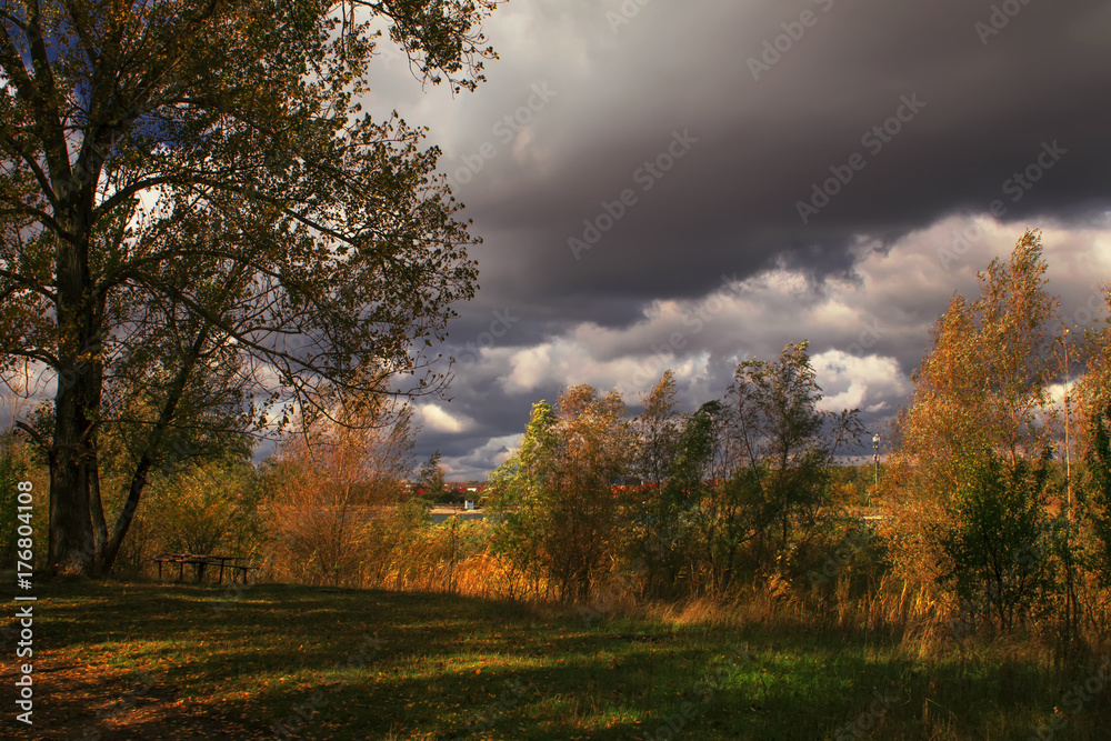 Autumn red-yellow landscape, sunny day in the grove, selective focus Autumn red-yellow landscape, sunny day in the grove, selective focus