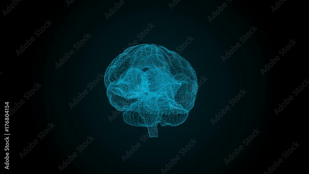 The human brain is like a hologram. Plexus. Green rotating human brain on a black background. Loop animation. Concept of Medicine and Science The human brain is like a hologram. Plexus. Green rotating human brain on a black background. Loop animation. Concept of Medicine and Science
