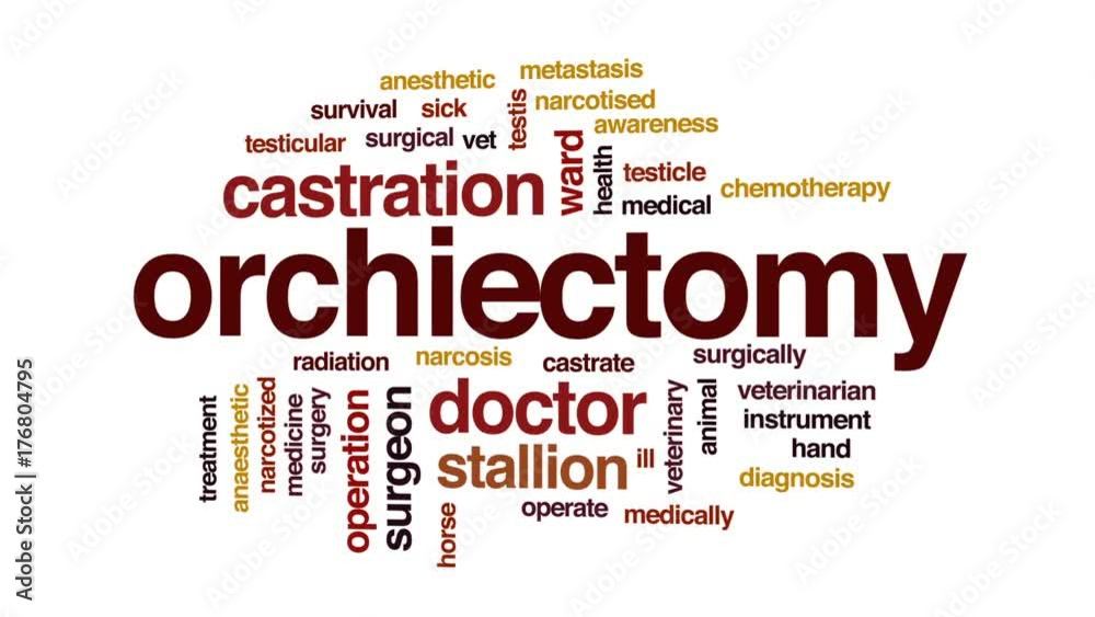 Orchiectomy animated word cloud, text design animation. Orchiectomy animated word cloud, text design animation.