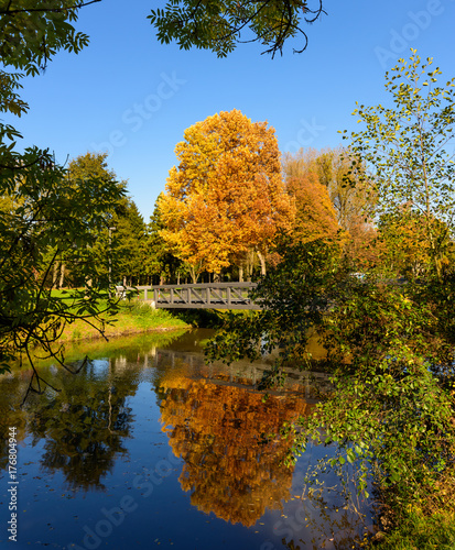 Bright color outdoor landscape photo taken on a sunny golden October autumn day with a yellow orange tree reflecting on the blue water of a river and a bridge
