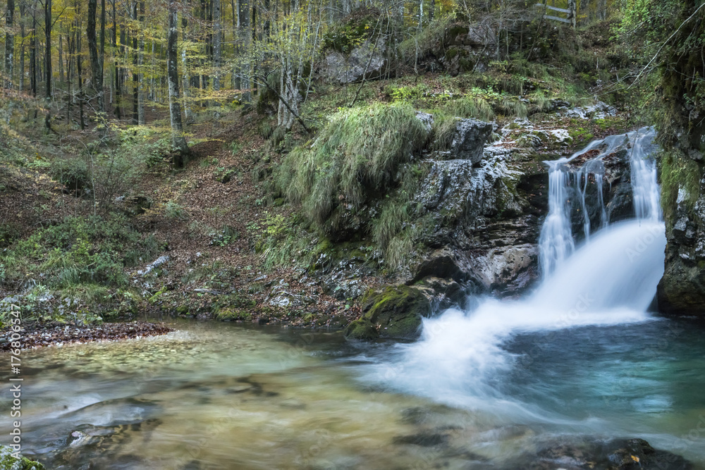 The water of a stream that flows into the woods The water of a stream that flows into the woods