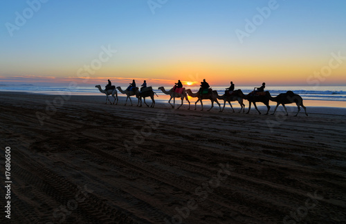 Camel caravan at beach at sunset . Essaouira. © Elena Odareeva