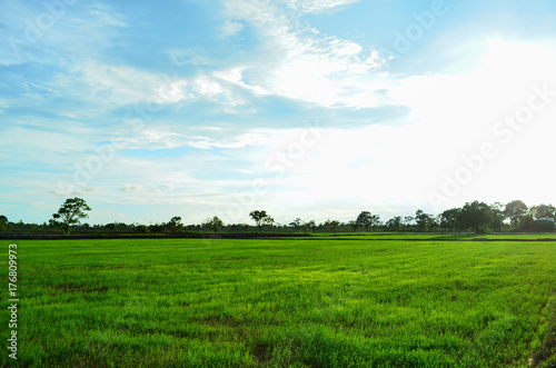 green field and blue sky background