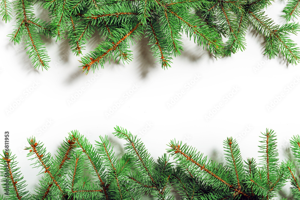 Fir branches