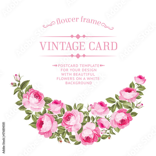 Fototapeta Naklejka Na Ścianę i Meble -  Luxurious vintage card of color rose. Vector illistration.