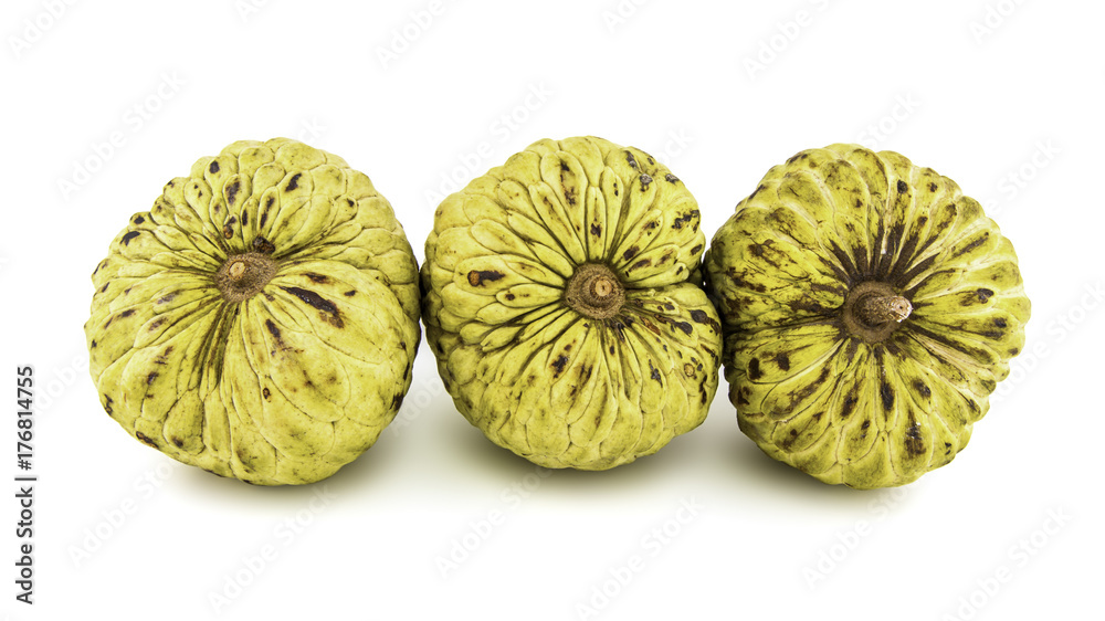 Fresh Custard Apple or Ripe Sugar Apple Fruit ( Annona, sweetsop) Isolated on white background on with clipping path / well-branched tree or shrub that bears edible fruits healthy eating / thai fruit Fresh Custard Apple or Ripe Sugar Apple Fruit ( Annona, sweetsop) Isolated on white background on with clipping path / well-branched tree or shrub that bears edible fruits healthy eating / thai fruit