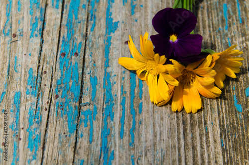 Beautiful flowers of calendula and violets on the side of old painted wooden board with cracks