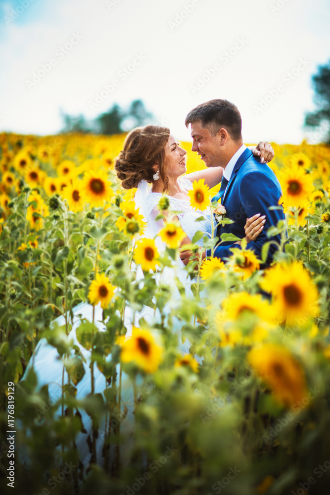 bride and groom against the background of a field of sunflowers bride and groom against the background of a field of sunflowers