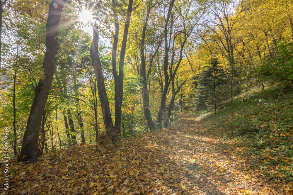 Obraz premium Ojców