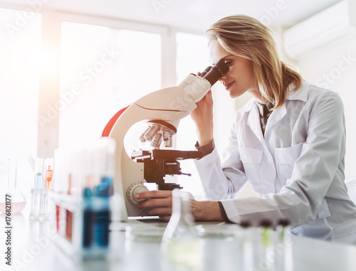 Laboratory scientist working