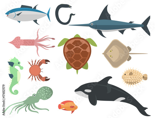 Vector sea animals creatures characters cartoon ocean underwater aquarium life water graphic aquatic tropical beasts illustration