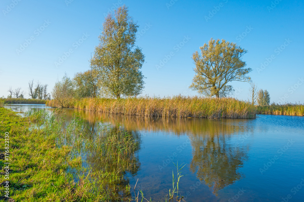 Shore of a lake in sunlight at fall